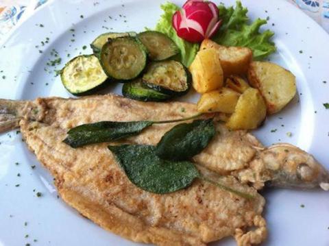 Fischgenuss am Lago Maggiore - (c) Roberto - Maggione Tourismus Marketing Fischgenuss am Lago Maggiore - (c) Roberto - Maggione Tourismus Marketing