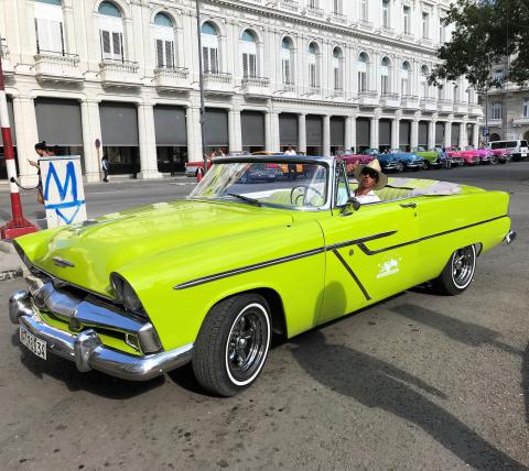 Neben dem kleinen Park „Parque Central“ in Havanna, der von Königspalmen gesäumt ist, stehen mehr als 20 bonbonfarbene Oldtimer aufgereiht, die für eine Stadtrundfahrt gebucht werden können - (c) Gabi Dräger