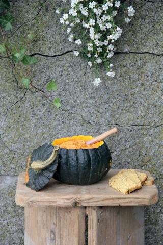 Kürbis-Dip - (c) Ute Ligges, Kerstin von Broich Kürbis-Dip - (c) Ute Ligges, Kerstin von Broich