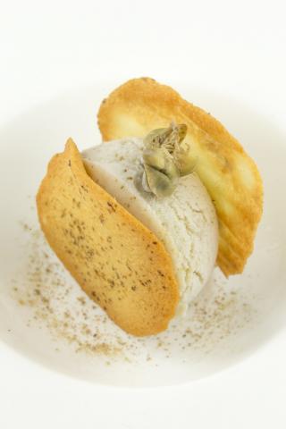 Eis aus Kapern (Rezept von Martina Caruso) - (c) Nicoletta De Rossi