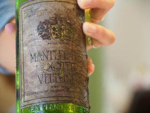 Roter Veltliner - Eine Entdeckung in Österreich - (c) Jörg Bornmann Roter Veltliner - Eine Entdeckung in Österreich - (c) Jörg Bornmann