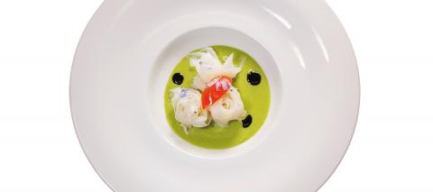 Tagliatelle mit Tintenfisch auf Erbsencreme - (c) feelSenigalia Tagliatelle mit Tintenfisch auf Erbsencreme - (c) feelSenigalia