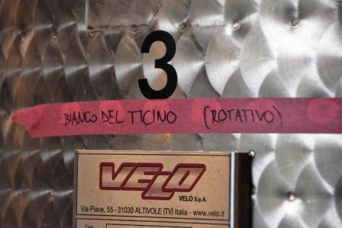 Bianco di Merlot (Merlot des Ticino DOC) ist eine besondere Weise Merlot-Trauben ins Glas zu bringen - (c) Gabi Vögele