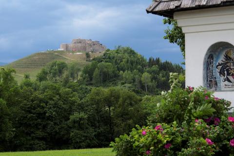 Taggenbrunn – das Weingut zwischen Alpen und Adria - (c) Jörg Bornmann