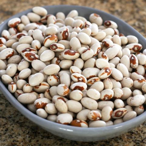 Gleich zwei griechische Vorspeisen: Augenbohnen- und Linsensalat - (c) Pixabay Gleich zwei griechische Vorspeisen: Augenbohnen- und Linsensalat - (c) Pixabay