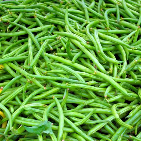 Fasolia Tsigariasta (Grüne Bohnen) - (c) Pixabay Fasolia Tsigariasta (Grüne Bohnen) - (c) Pixabay