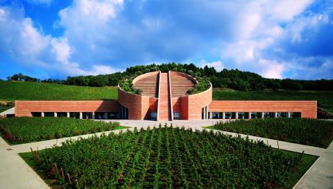 Petra 2018 - Der ikonische Wein des Erzeugers stärkt die Verbindung mit dem Terroir von Suvereto - (c) Petra Petra 2018 - Der ikonische Wein des Erzeugers stärkt die Verbindung mit dem Terroir von Suvereto - (c) Petra