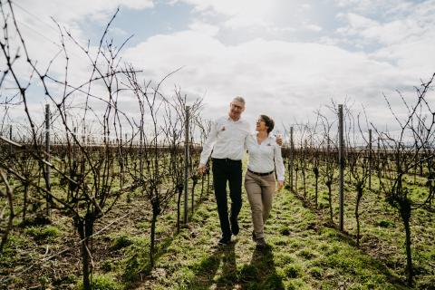 „Sauvignac ist schon heute der Riesling von morgen.“ - Im Gespräch mit Winzer Ansgar Galler - (c) Weingut Galler