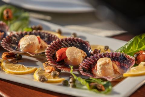 (Michelin)Sterne über Kroatien Kroatien-Urlauber dürfen sich auf Kulinarik auf höchstem Niveau freuen - (c) Croatian National Tourist Board (Michelin)Sterne über Kroatien Kroatien-Urlauber dürfen sich auf Kulinarik auf höchstem Niveau freuen - (c) Croatian National Tourist Board