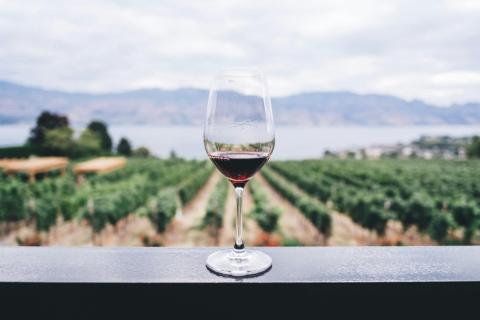 in Weinurlaub in Südtirol ist eine kulinarische Genussreise - (c) Kym Ellis auf Unsplash.jpg in Weinurlaub in Südtirol ist eine kulinarische Genussreise - (c) Kym Ellis auf Unsplash.jpg