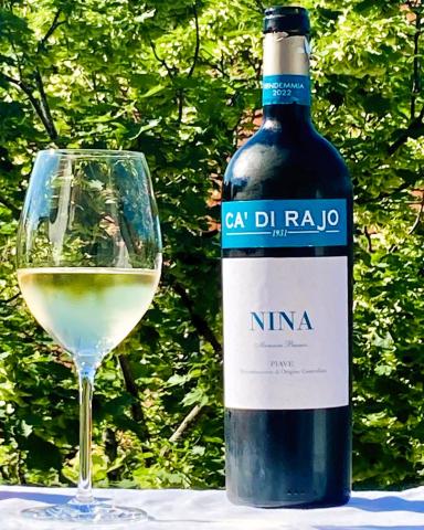 Nina, Ca‘ di Rajo, Incrocio Manzoni Bianco 2022 – DOC Piave - (c) Gabi Dräger Nina, Ca‘ di Rajo, Incrocio Manzoni Bianco 2022 – DOC Piave - (c) Gabi Dräger