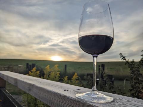 100 Jahre Rioja: Spaniens bedeutendste Herkunftsbezeichnung feiert Jubiläum - (c) Carola Faber 100 Jahre Rioja: Spaniens bedeutendste Herkunftsbezeichnung feiert Jubiläum - (c) Carola Faber