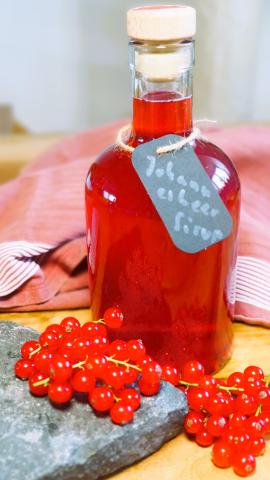 Johannesbeersirup - (c) Jörg Bornmann