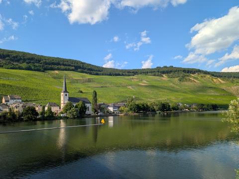 DER RING Mosel - (c) Carola Faber