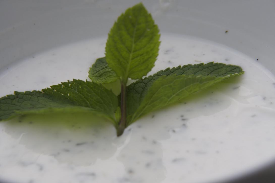 Joghurt-Minze-Soße | Genussfreak